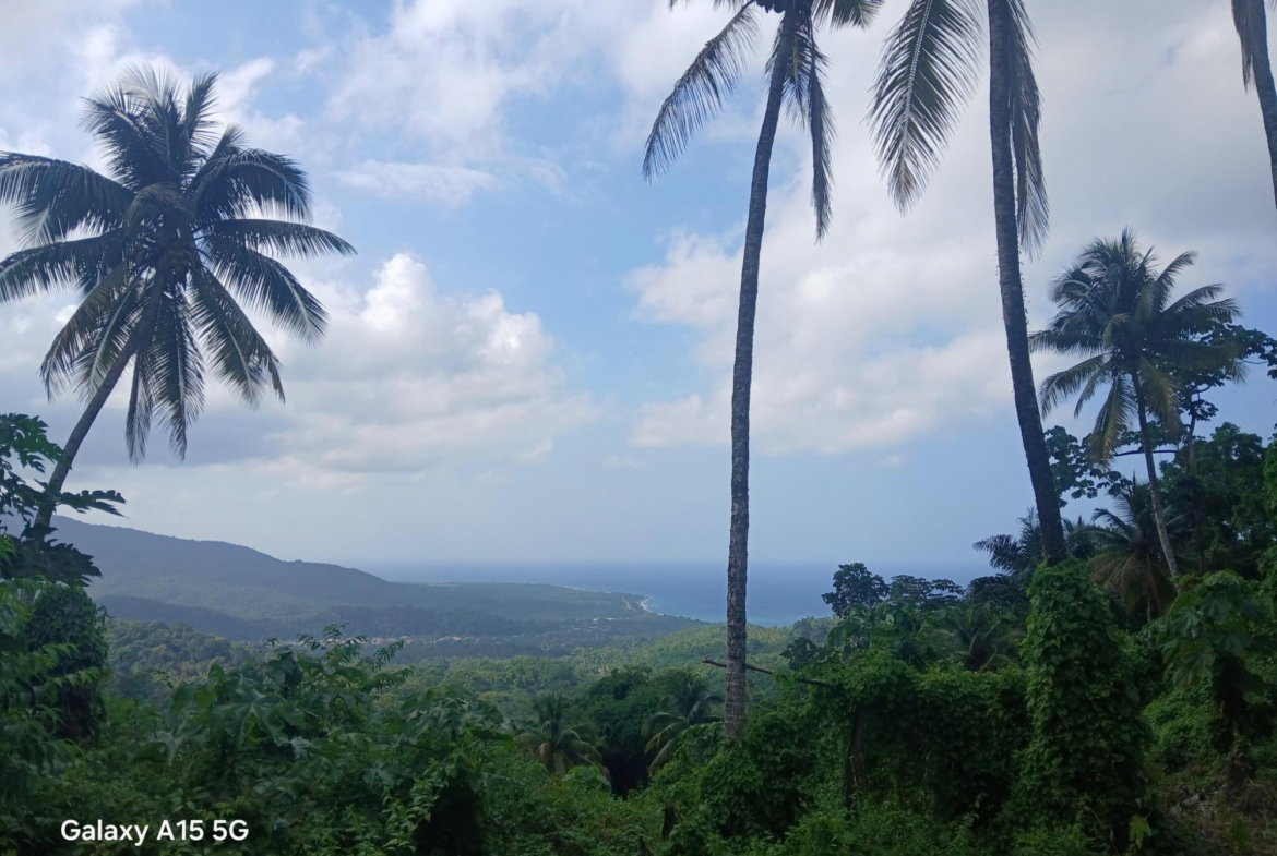 Third image of Diamond Ridge in Buff Bay, Portland, Jamaica - property is For Sale