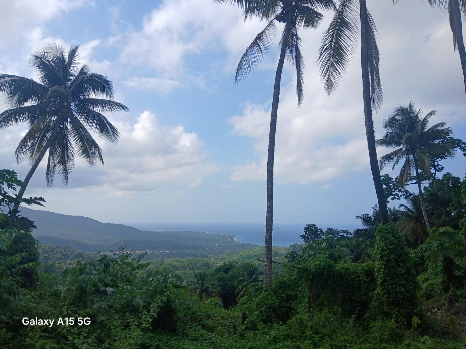 Third image of Diamond Ridge in Buff Bay, Portland, Jamaica - property is For Sale
