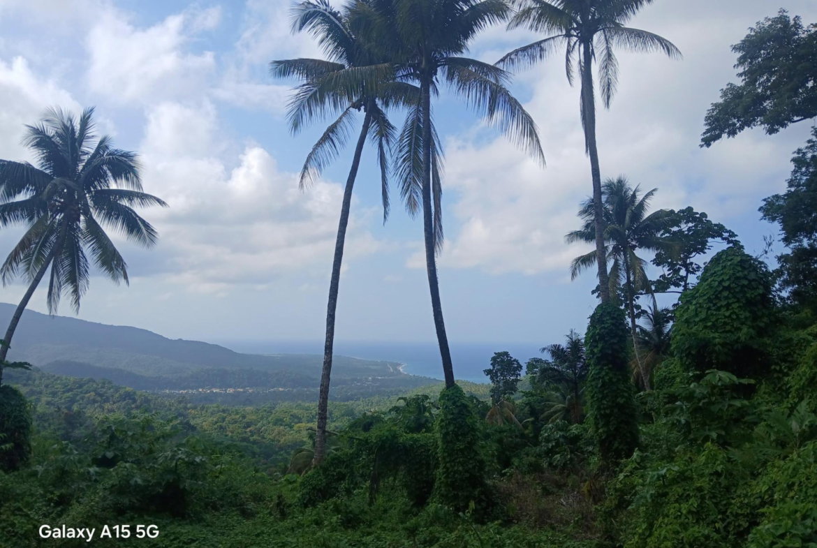 Fourth image of Diamond Ridge in Buff Bay, Portland, Jamaica - property is For Sale