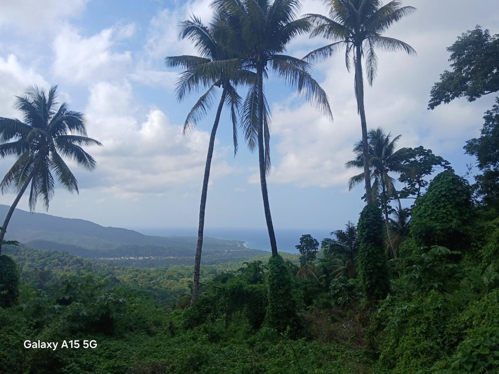 Fourth image of Diamond Ridge in Buff Bay, Portland, Jamaica - property is For Sale