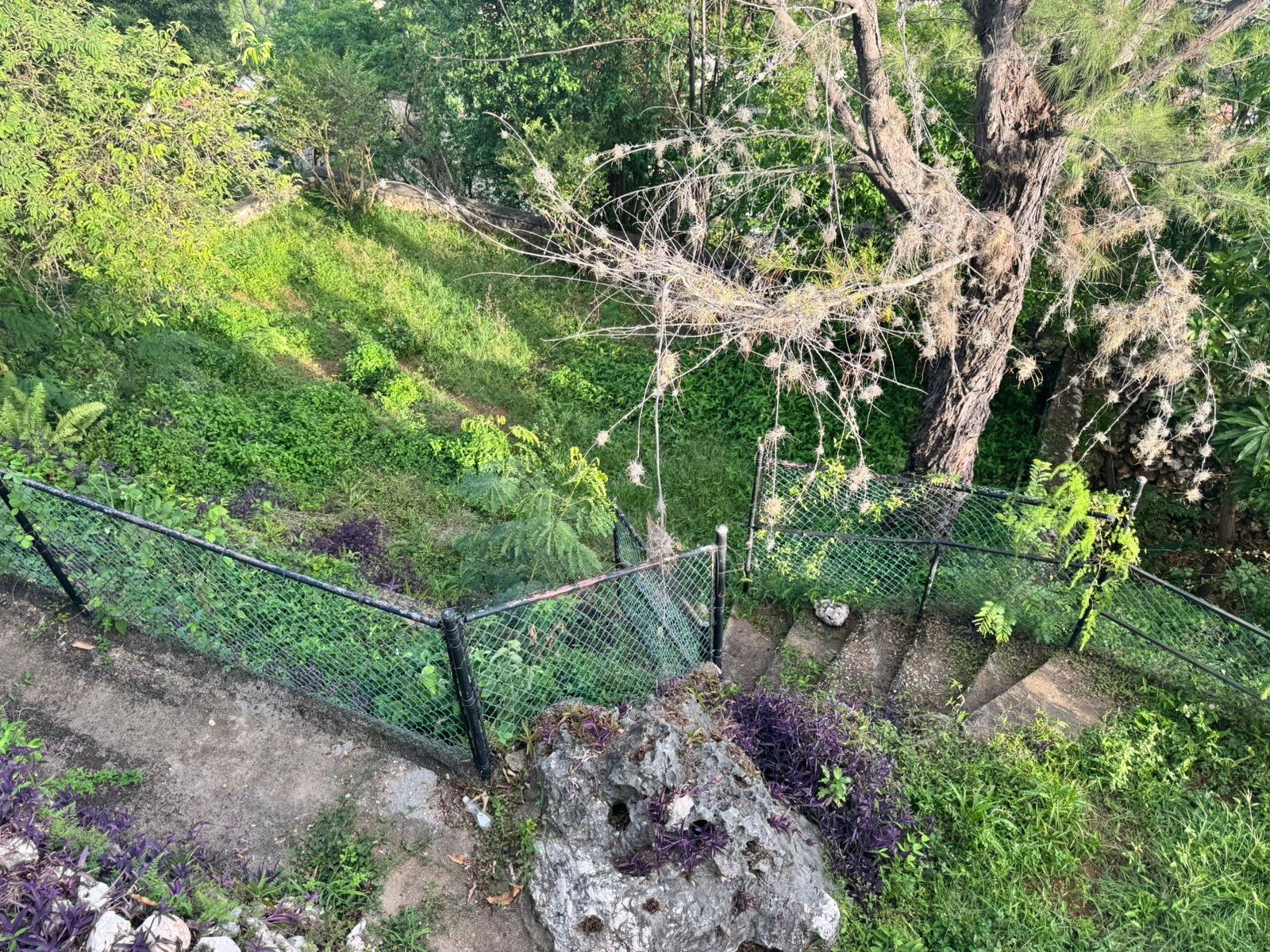 5-Bedroom-House-for-Sale-in-East-Armour-Heights-Kingston-St.-Andrew Seventh image of 71 East Armour Heights, Kgn in Kingston 8, St. Andrew, Jamaica - property is For Sale