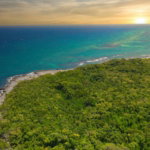 First image of Salem Runnaway st Ann in SALEM, St. Ann, Jamaica - property is For Sale