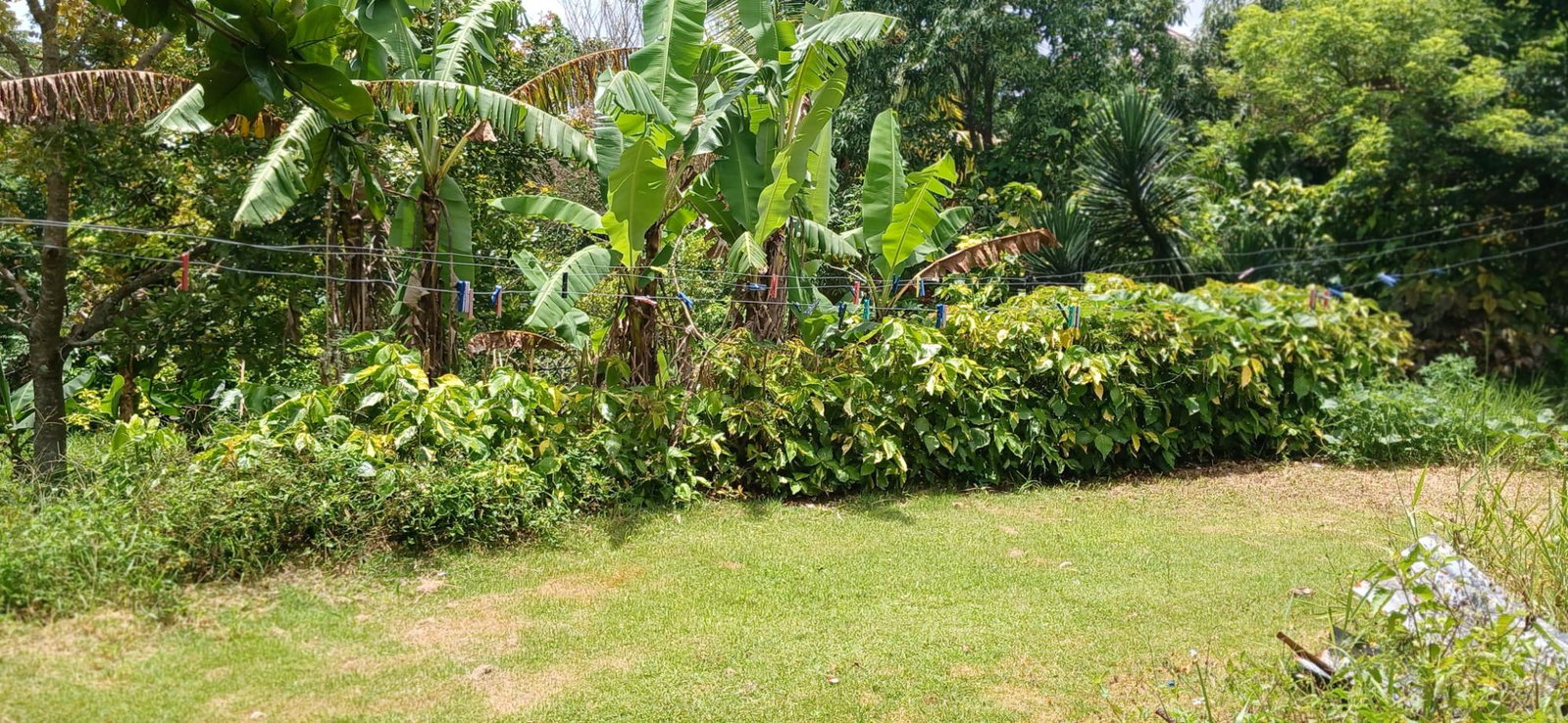 Fifth image of Lot 43b Sunset Crescent, Knockpa in Knockpatrick, Manchester, Jamaica - property is For Sale