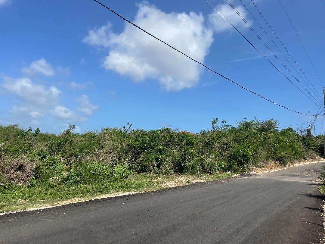 8.25-Acres-Development-Land-for-Sale-in-Green-Park-Sandy-Bay-Clarendon-Jamaica Second image of Lot 32 Green Park, Sandy Bay, cl in Sandy Bay, Clarendon, Jamaica - property is For Sale