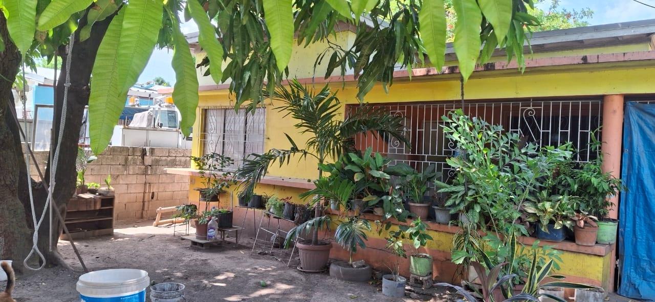 Affordable-Fixer-Upper-House-for-Sale-in-Waltham-Gardens-St.-Andrew-Jamaica Second image of 11 Pandora Crescent in Kingston 11, St. Andrew, Jamaica - property is For Sale