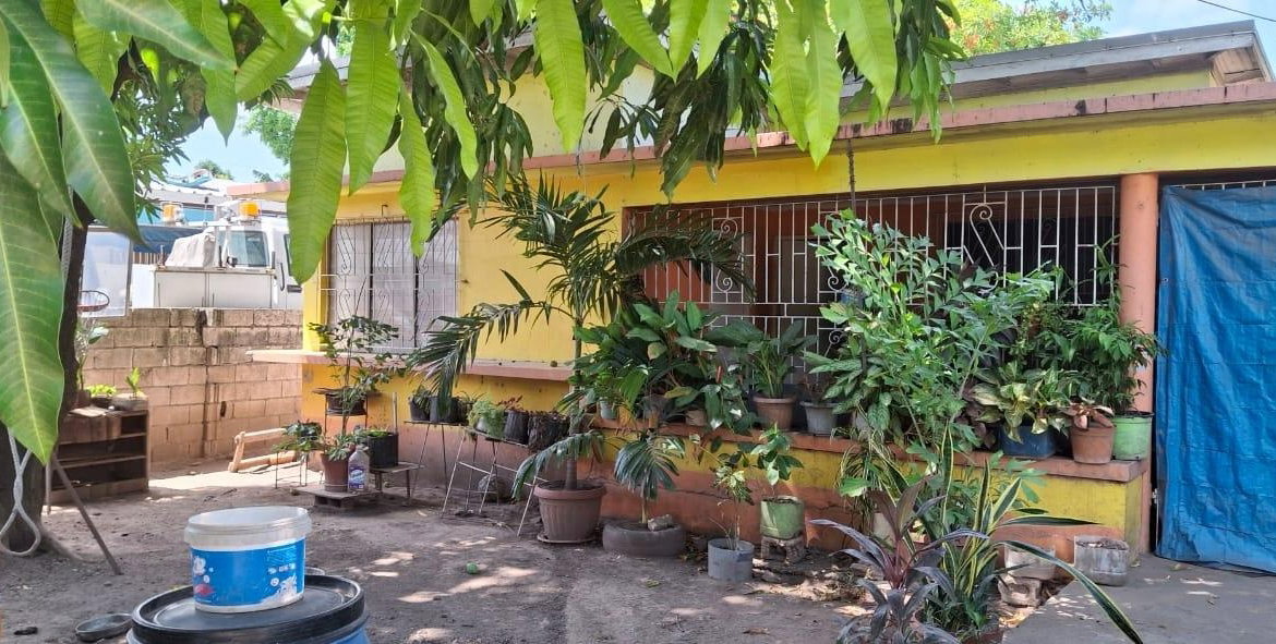 Third image of 11 Pandora Crescent in Kingston 11, St. Andrew, Jamaica - property is For Sale