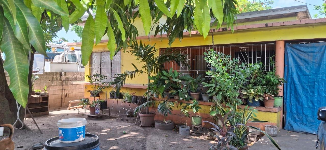 Affordable-Fixer-Upper-House-for-Sale-in-Waltham-Gardens-St.-Andrew-Jamaica Third image of 11 Pandora Crescent in Kingston 11, St. Andrew, Jamaica - property is For Sale