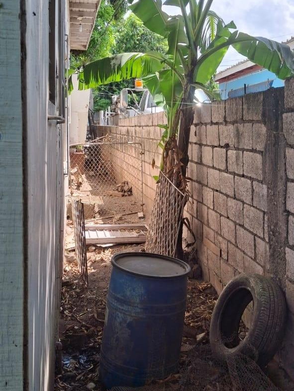 Fifth image of 11 Pandora Crescent in Kingston 11, St. Andrew, Jamaica - property is For Sale