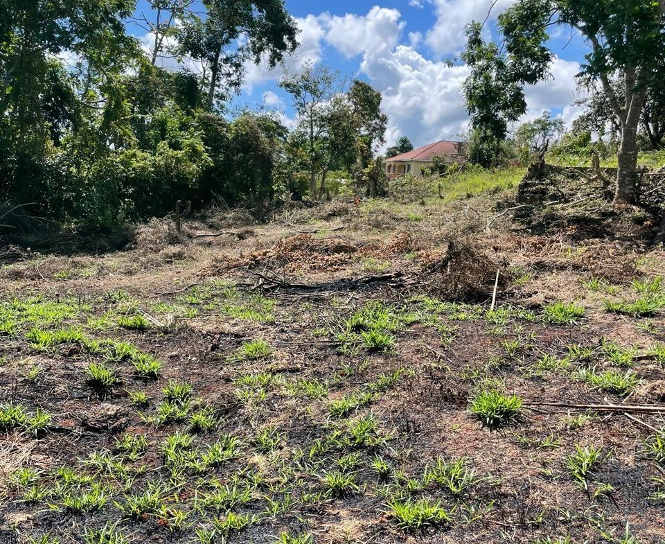 Third image of Lot 2 Marshall Crescent, May da in May Day, Manchester, Jamaica - property is For Sale