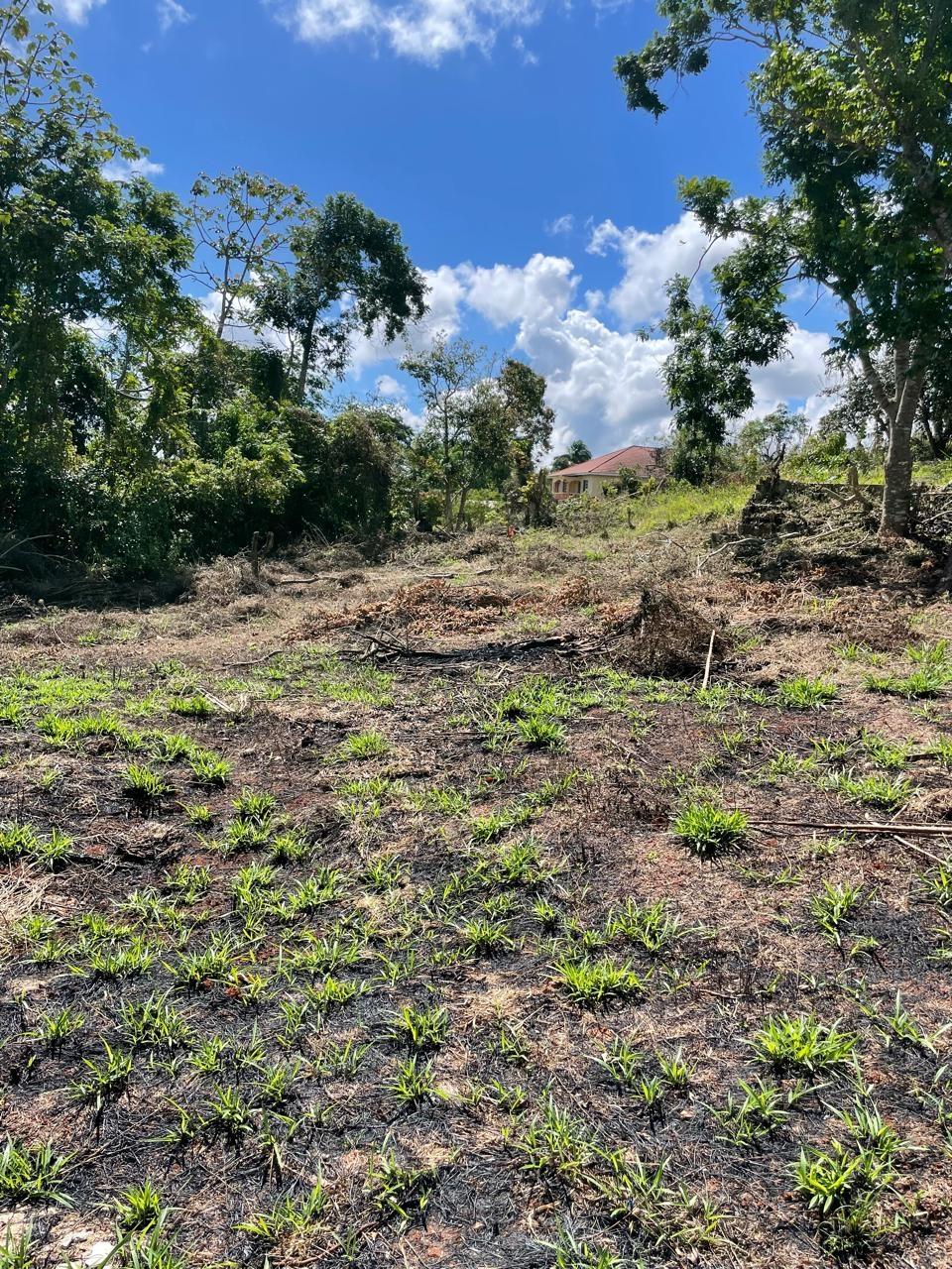 Third image of Lot 2 Marshall Crescent, May da in May Day, Manchester, Jamaica - property is For Sale