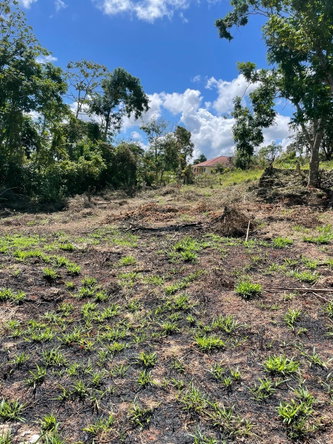 Third image of Lot 2 Marshall Crescent, May da in May Day, Manchester, Jamaica - property is For Sale