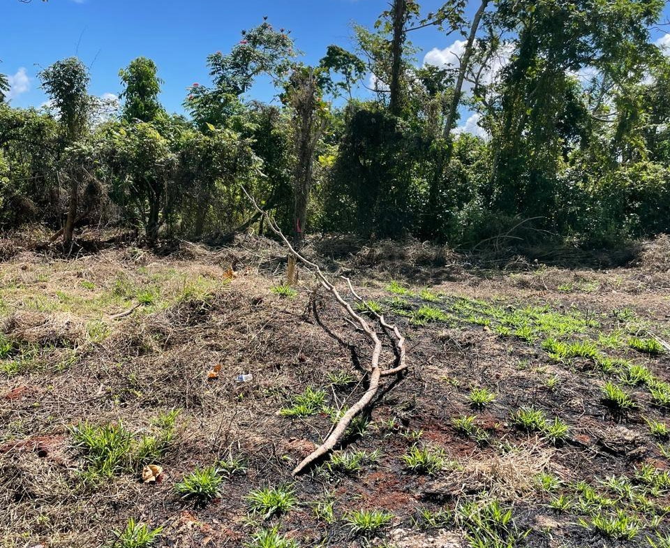 Fourth image of Lot 2 Marshall Crescent, May da in May Day, Manchester, Jamaica - property is For Sale