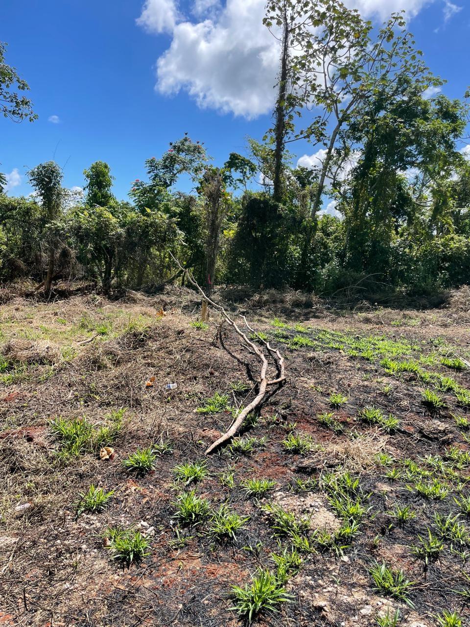 Fourth image of Lot 2 Marshall Crescent, May da in May Day, Manchester, Jamaica - property is For Sale