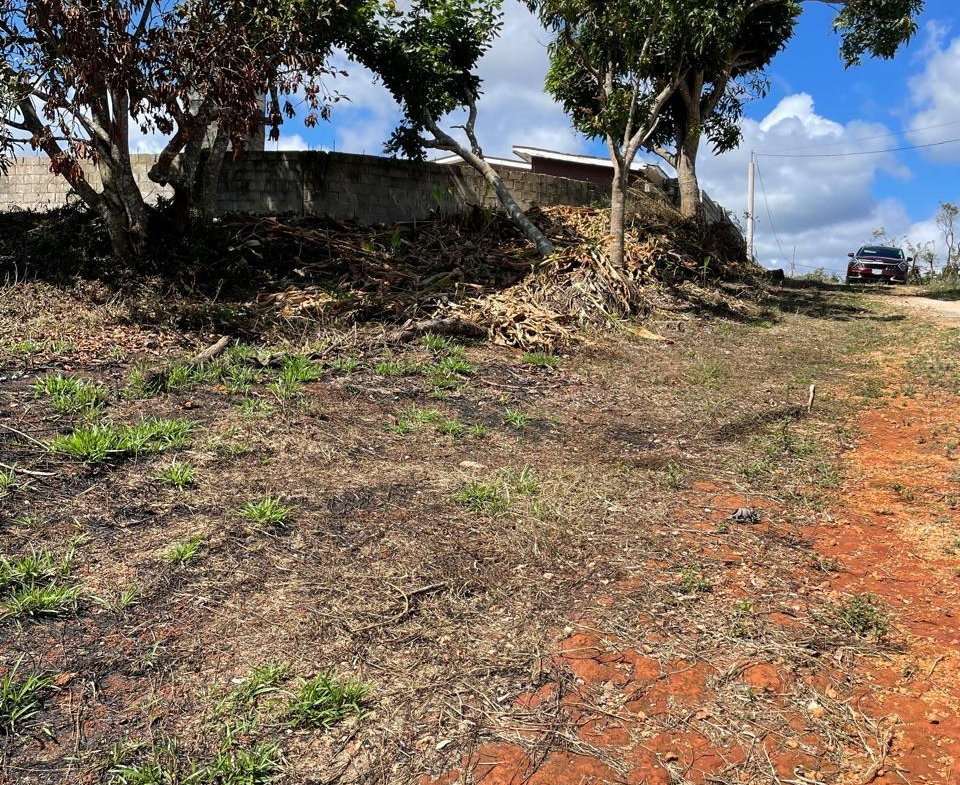 Sixth image of Lot 2 Marshall Crescent, May da in May Day, Manchester, Jamaica - property is For Sale