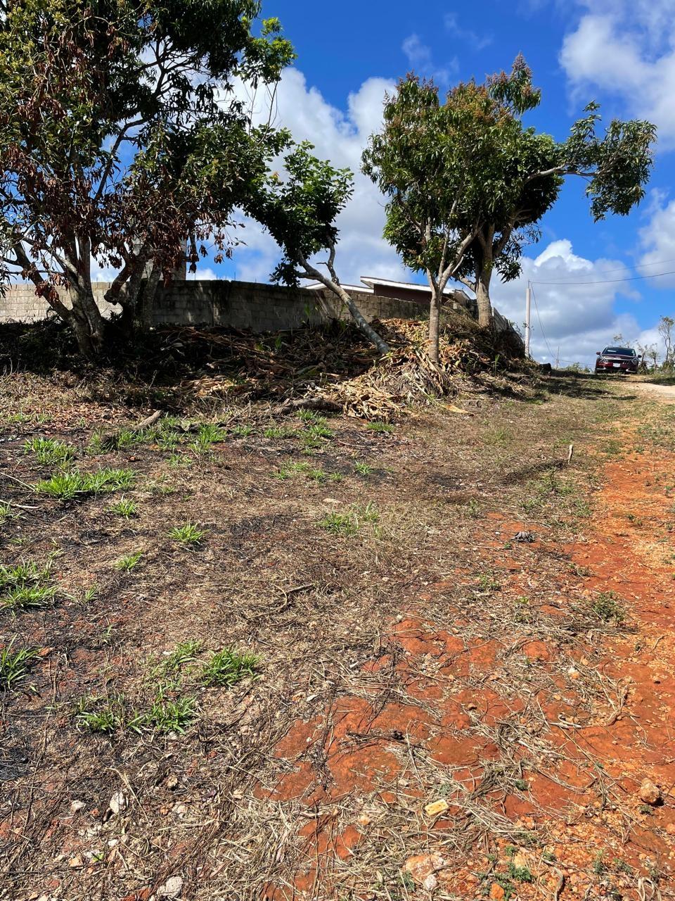 Sixth image of Lot 2 Marshall Crescent, May da in May Day, Manchester, Jamaica - property is For Sale