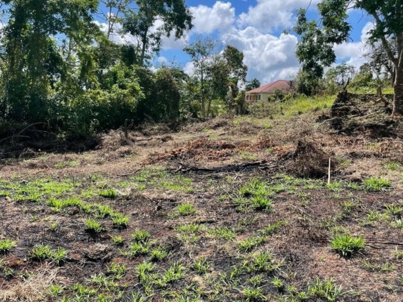 First image of Lot 2 Marshall Crescent, May da in May Day, Manchester, Jamaica - property is For Sale