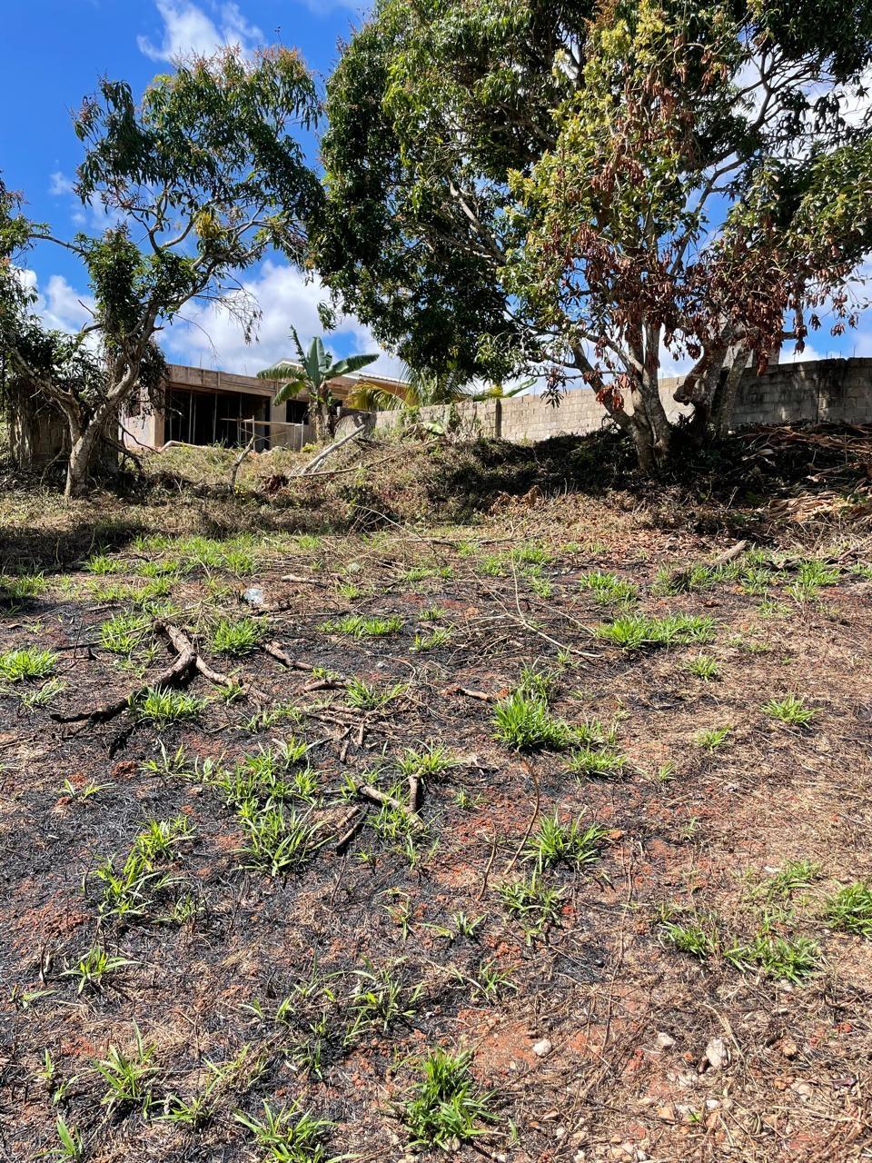 Seventh image of Lot 2 Marshall Crescent, May da in May Day, Manchester, Jamaica - property is For Sale