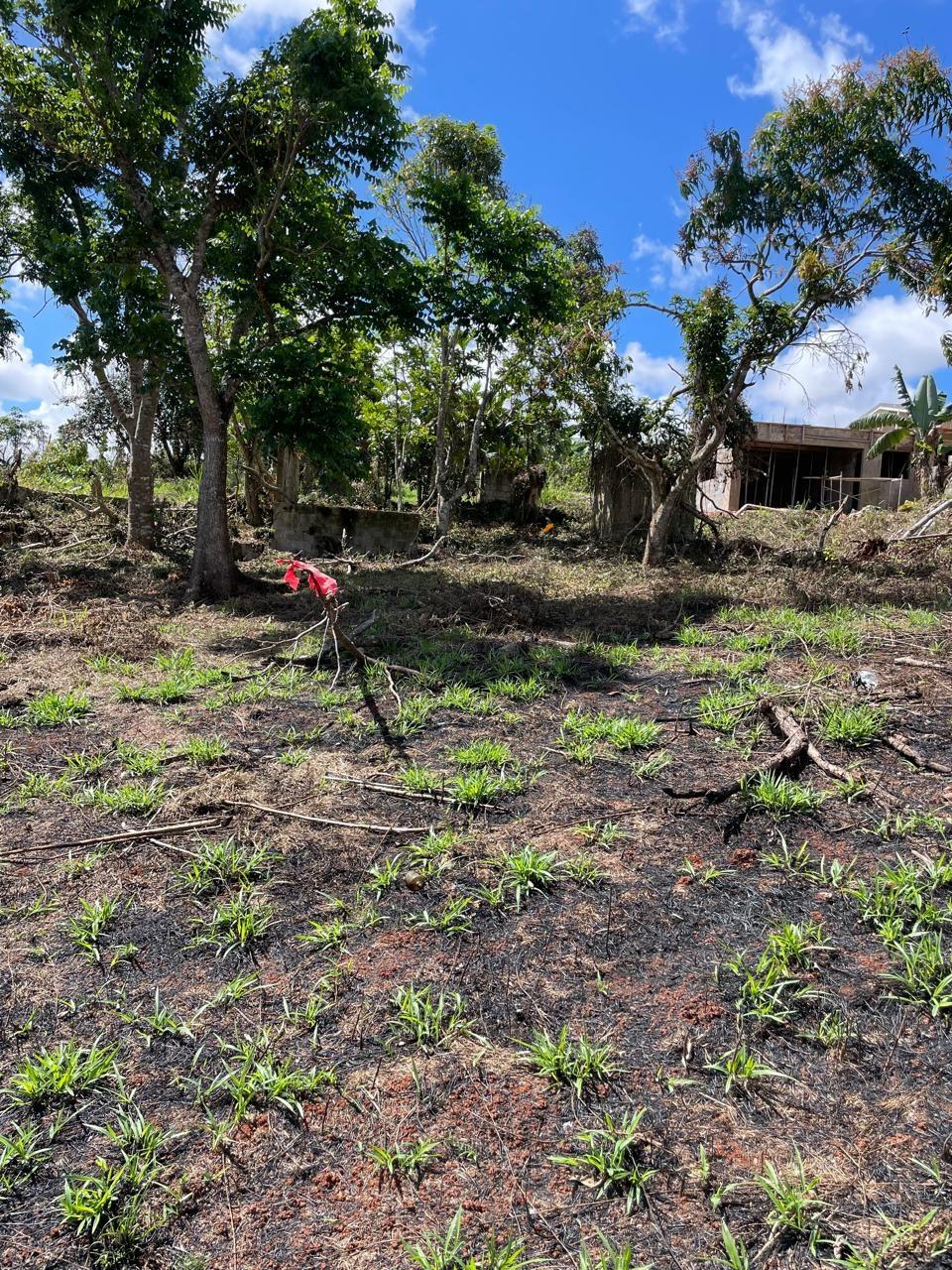 Eighth image of Lot 2 Marshall Crescent, May da in May Day, Manchester, Jamaica - property is For Sale