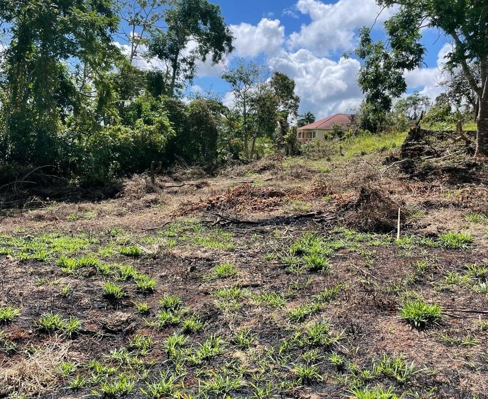 First image of Lot 2 Marshall Crescent, May da in May Day, Manchester, Jamaica - property is For Sale