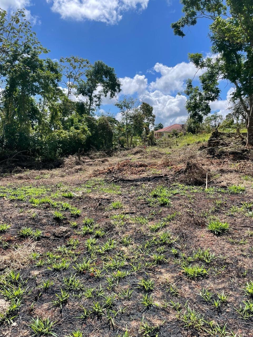 First image of Lot 2 Marshall Crescent, May da in May Day, Manchester, Jamaica - property is For Sale