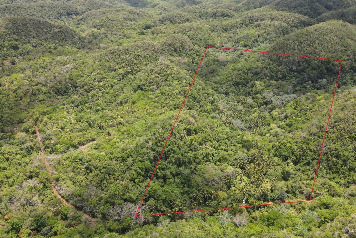 First image of Barry And Lloyds in KITSON TOWN, St. Catherine, Jamaica - property is For Sale