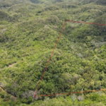 First image of Barry And Lloyds in KITSON TOWN, St. Catherine, Jamaica - property is For Sale