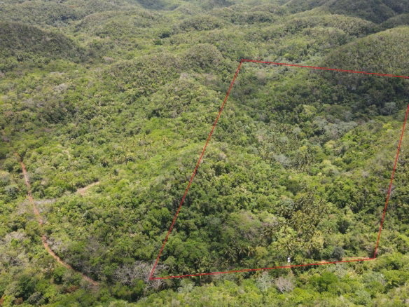 First image of Barry And Lloyds in KITSON TOWN, St. Catherine, Jamaica - property is For Sale