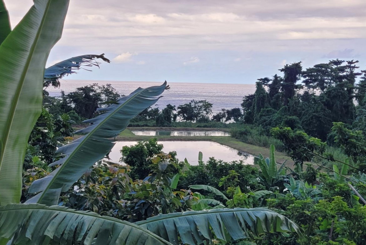 Twenty-Second image of 6-235 Tryall Gardens in Tryall Gardens, Hanover, Jamaica - property is For Rent