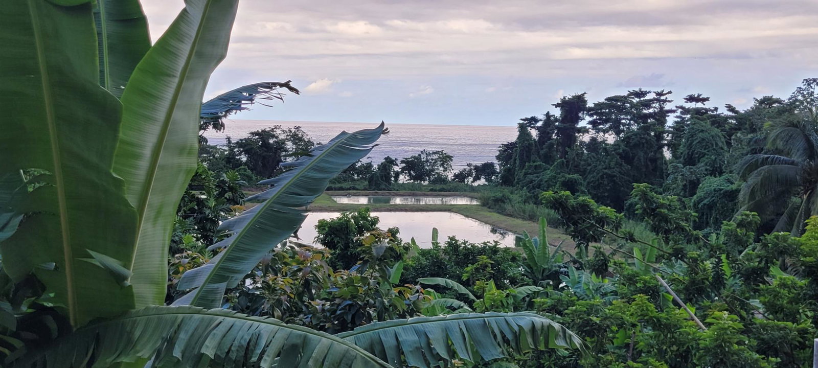 Twenty-Second image of 6-235 Tryall Gardens in Tryall Gardens, Hanover, Jamaica - property is For Rent