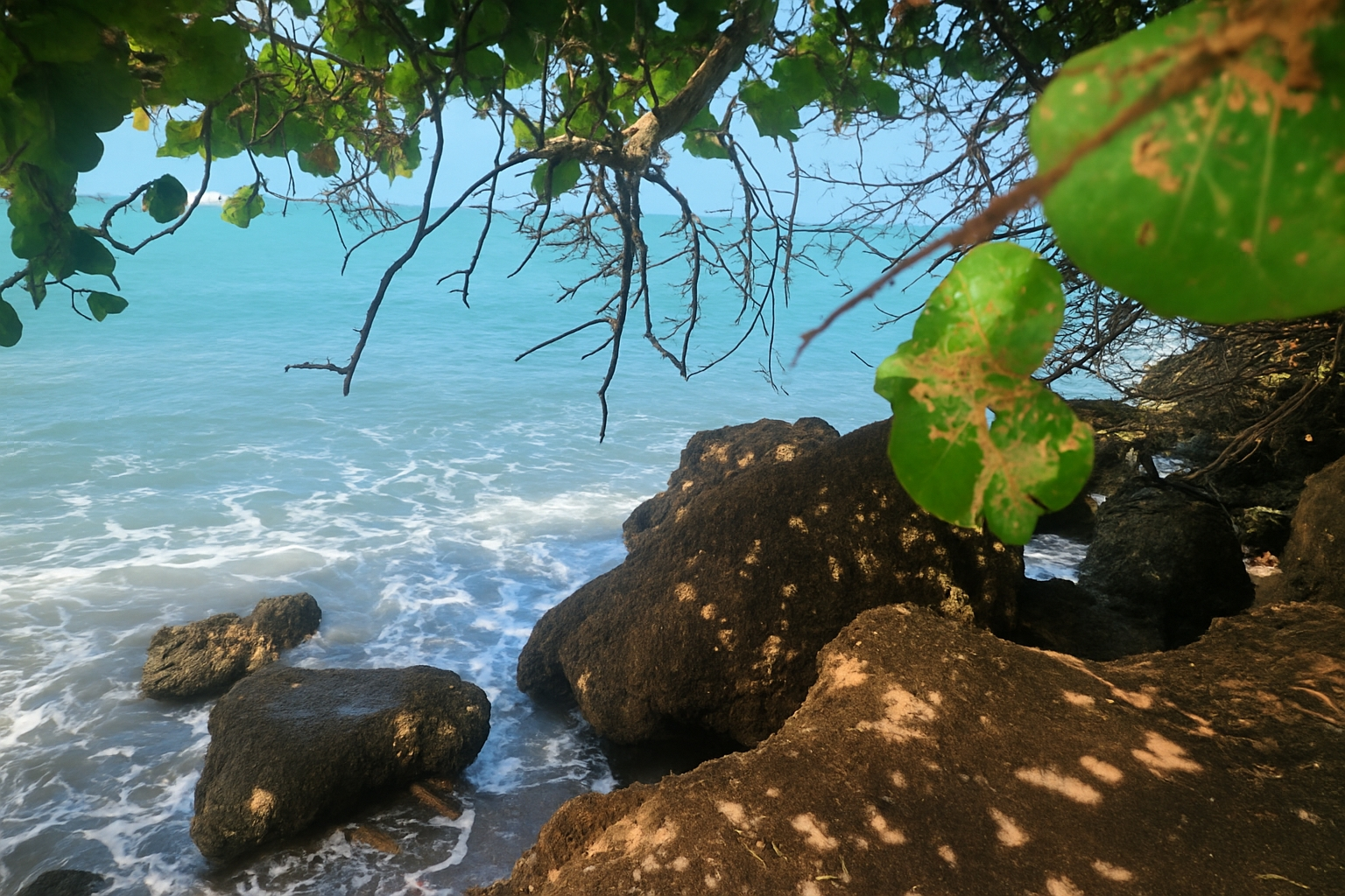 Second image of Alligator Pond, Mancheste in ALLIGATOR POND, Manchester, Jamaica - property is For Sale