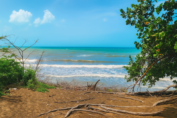 Thirteenth image of Alligator Pond, Mancheste in ALLIGATOR POND, Manchester, Jamaica - property is For Sale
