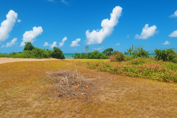 Fifteenth image of Alligator Pond, Mancheste in ALLIGATOR POND, Manchester, Jamaica - property is For Sale