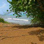 First image of Alligator Pond, Mancheste in ALLIGATOR POND, Manchester, Jamaica - property is For Sale