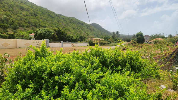 Seventeenth image of Alligator Pond, Mancheste in ALLIGATOR POND, Manchester, Jamaica - property is For Sale