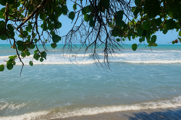 Third image of Alligator Pond, Mancheste in ALLIGATOR POND, Manchester, Jamaica - property is For Sale