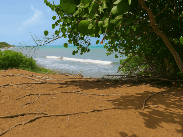 First image of Alligator Pond, Mancheste in ALLIGATOR POND, Manchester, Jamaica - property is For Sale