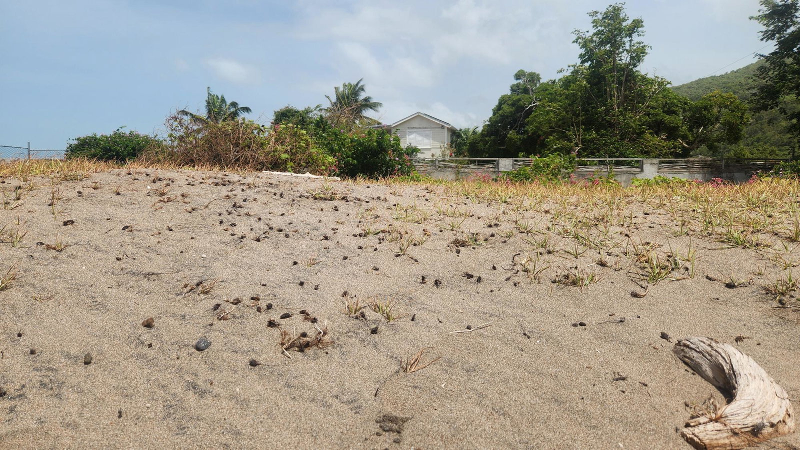 Ninth image of Alligator Pond, Mancheste in ALLIGATOR POND, Manchester, Jamaica - property is For Sale
