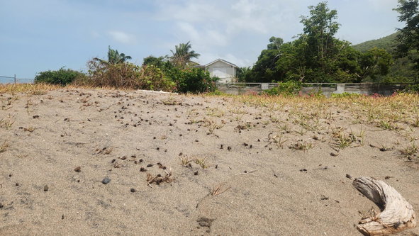 Ninth image of Alligator Pond, Mancheste in ALLIGATOR POND, Manchester, Jamaica - property is For Sale