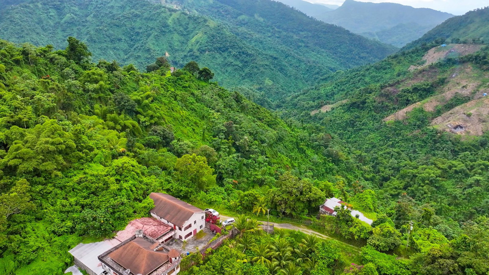 Blue-Mountain-Coffee-Plantation-for-Sale-in-Portland-Jamaica-–-96-Acres Second image of 0 in Shirley Castle, Portland, Jamaica - property is For Sale
