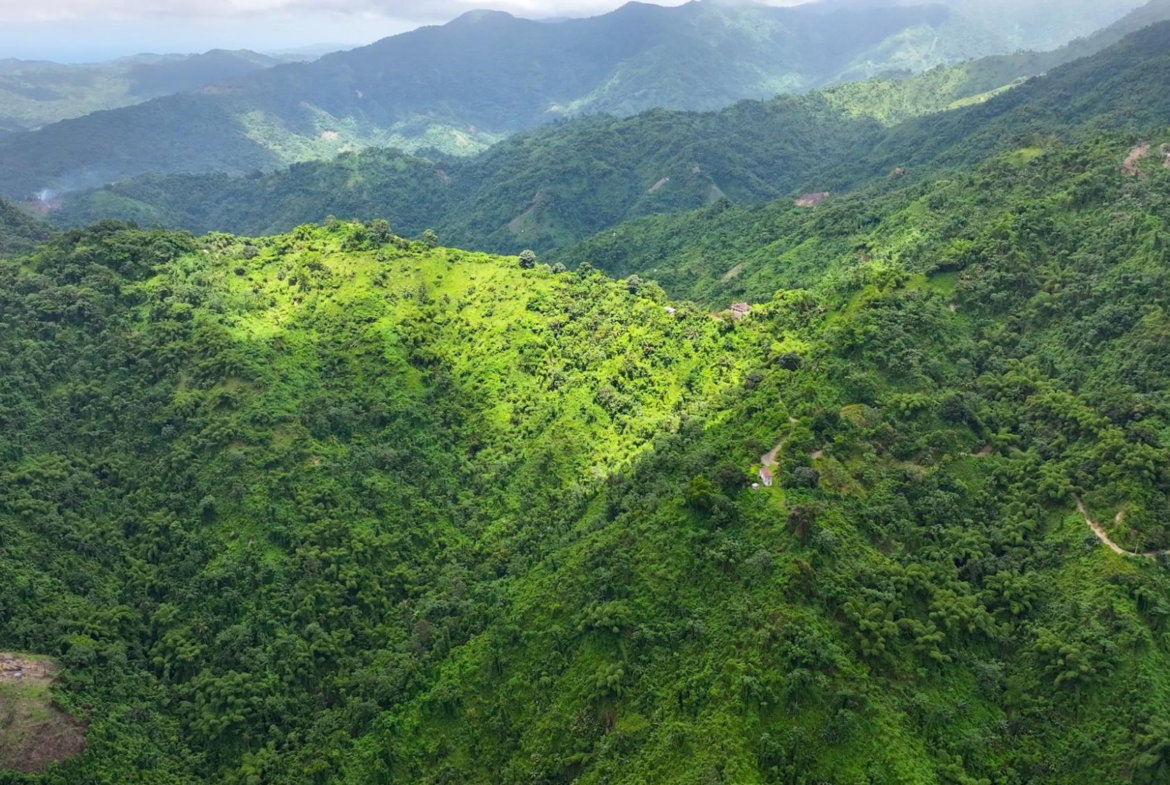 First image of 0 in Shirley Castle, Portland, Jamaica - property is For Sale