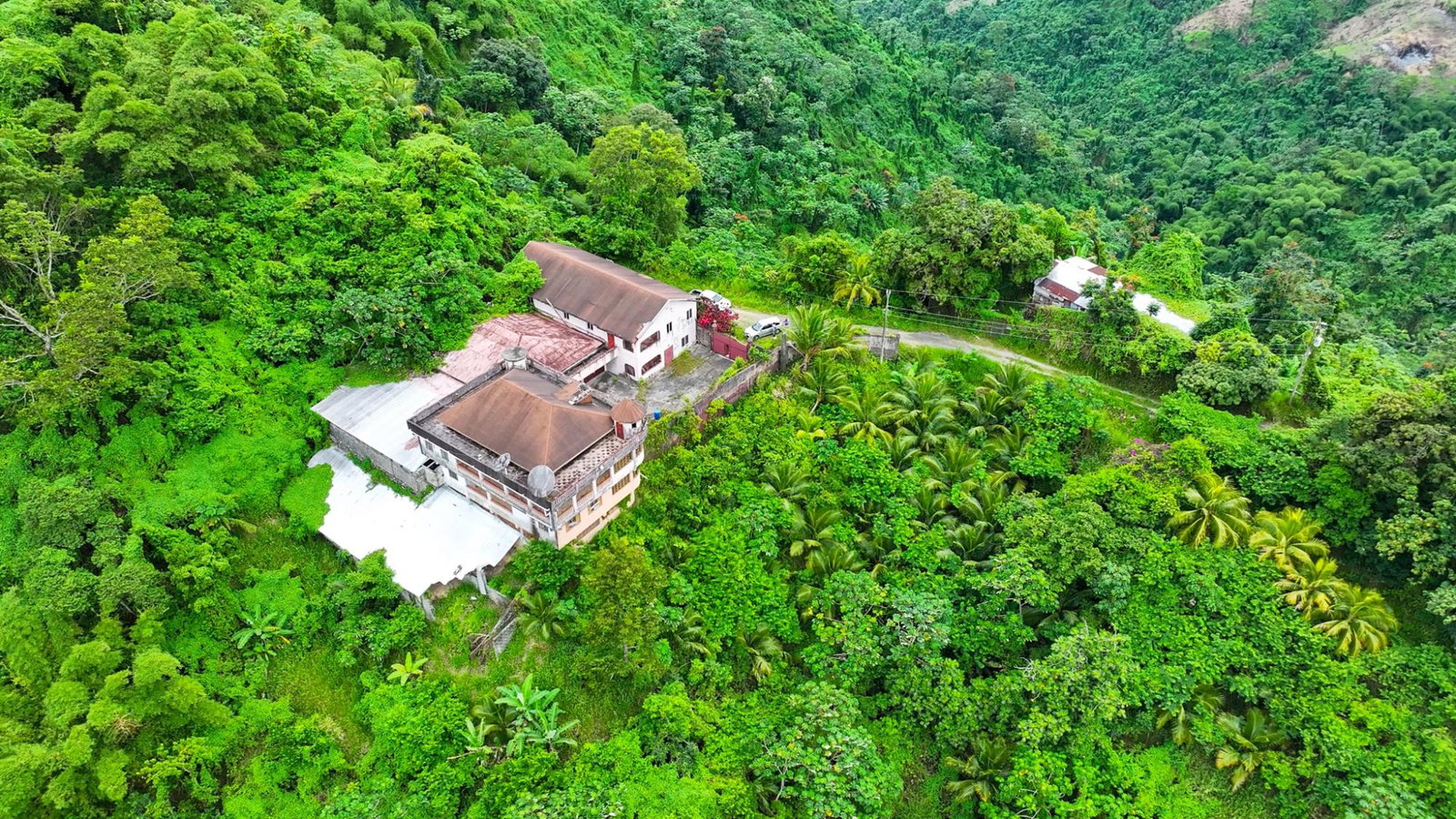 Blue-Mountain-Coffee-Plantation-for-Sale-in-Portland-Jamaica-–-96-Acres Third image of 0 in Shirley Castle, Portland, Jamaica - property is For Sale