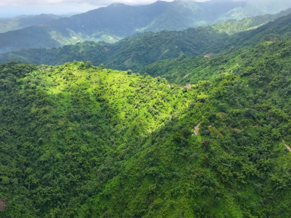 First image of 0 in Shirley Castle, Portland, Jamaica - property is For Sale