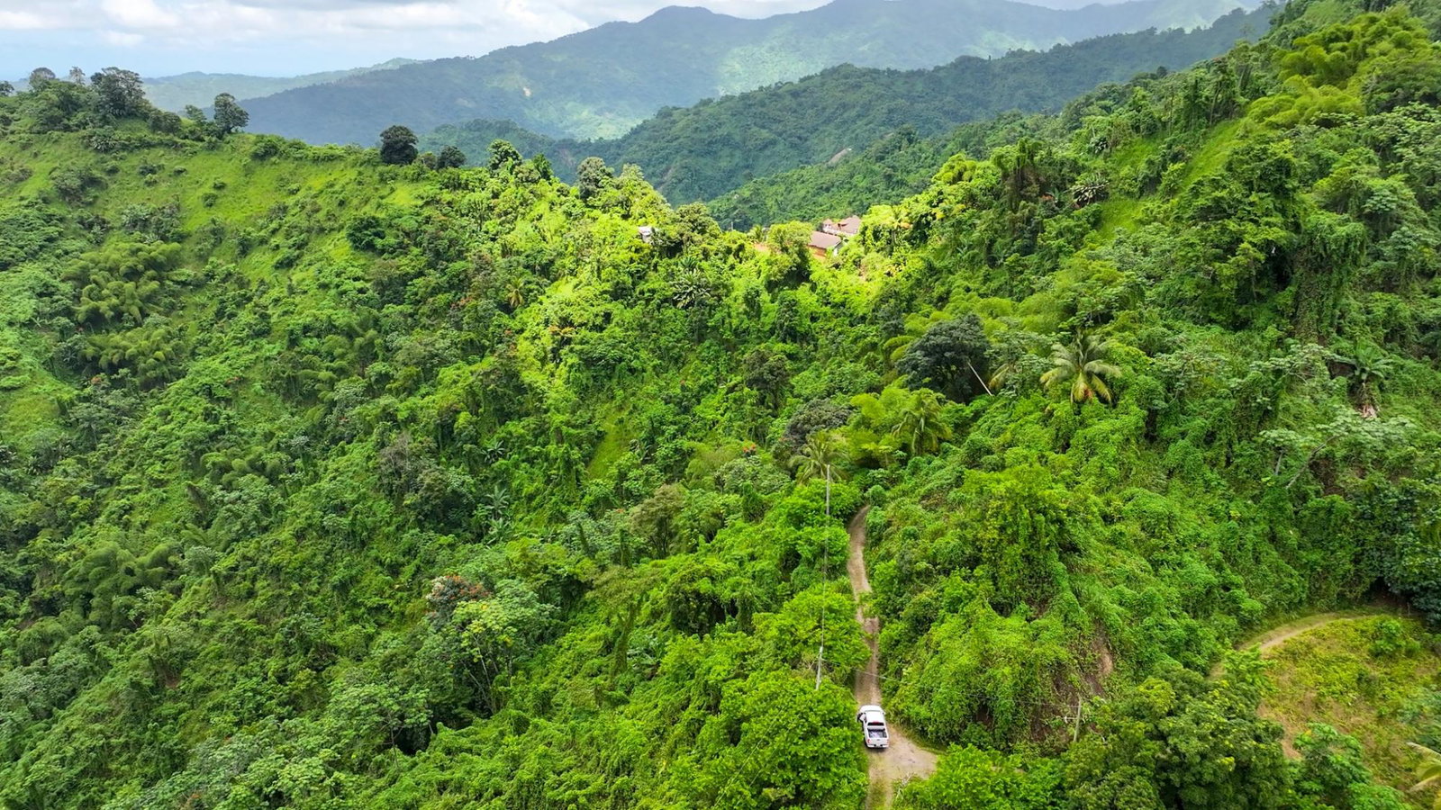 Blue-Mountain-Coffee-Plantation-for-Sale-in-Portland-Jamaica-–-96-Acres Seventh image of 0 in Shirley Castle, Portland, Jamaica - property is For Sale