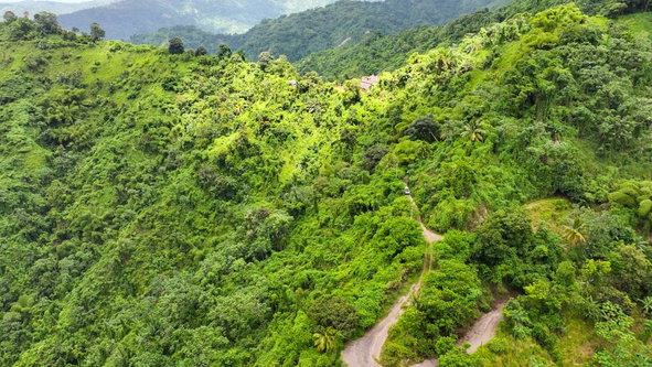 Eighth image of 0 in Shirley Castle, Portland, Jamaica - property is For Sale