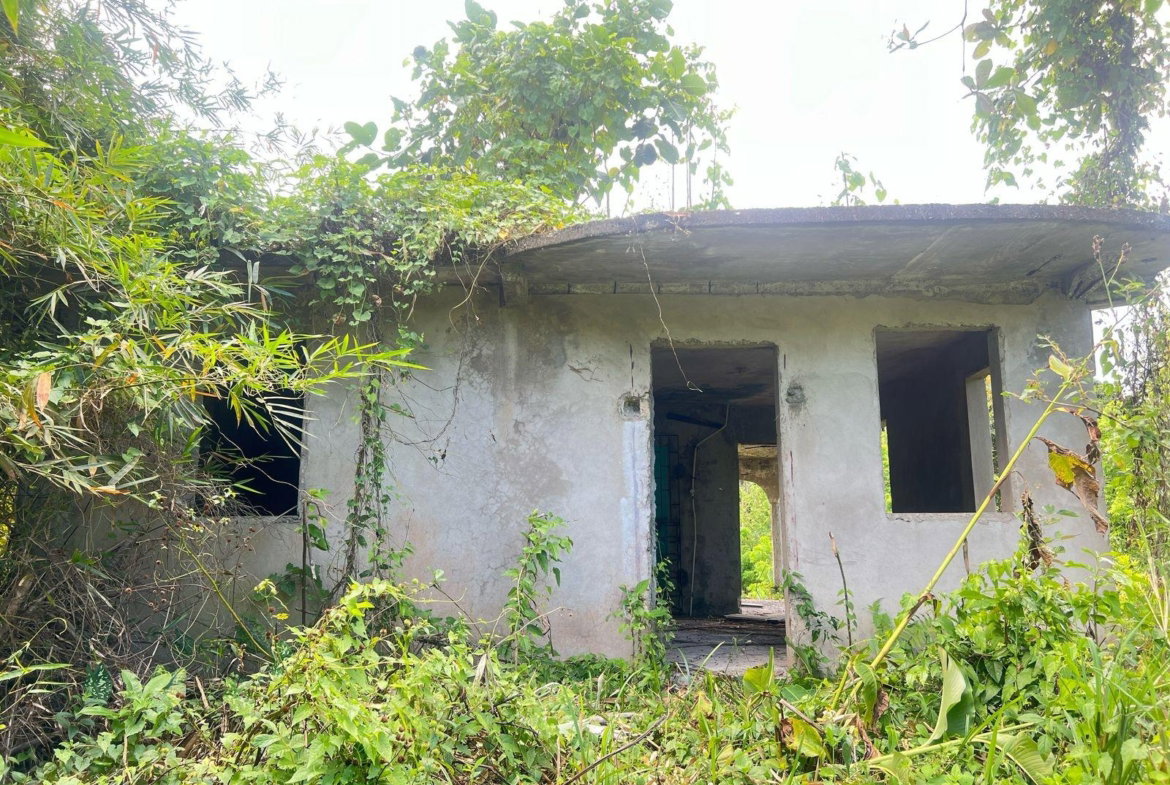 Second image of Christian Field, Mount pl in St. Margaret's Bay, Portland, Jamaica - property is For Sale