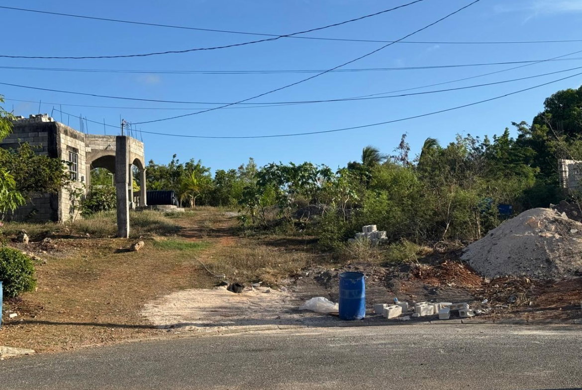 Sixteenth image of 397 Papaya Avenue, Longville in Longville Park, Clarendon, Jamaica - property is For Sale