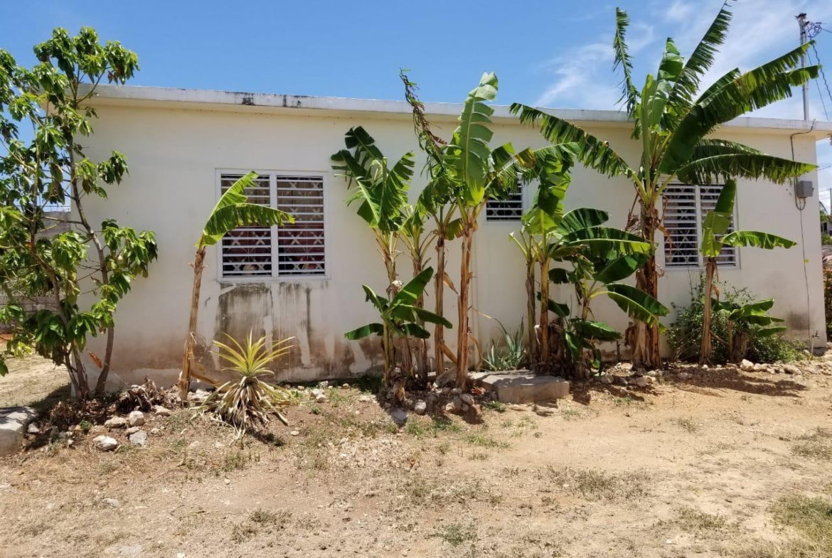 Seventh image of 397 Papaya Avenue, Longville in Longville Park, Clarendon, Jamaica - property is For Sale