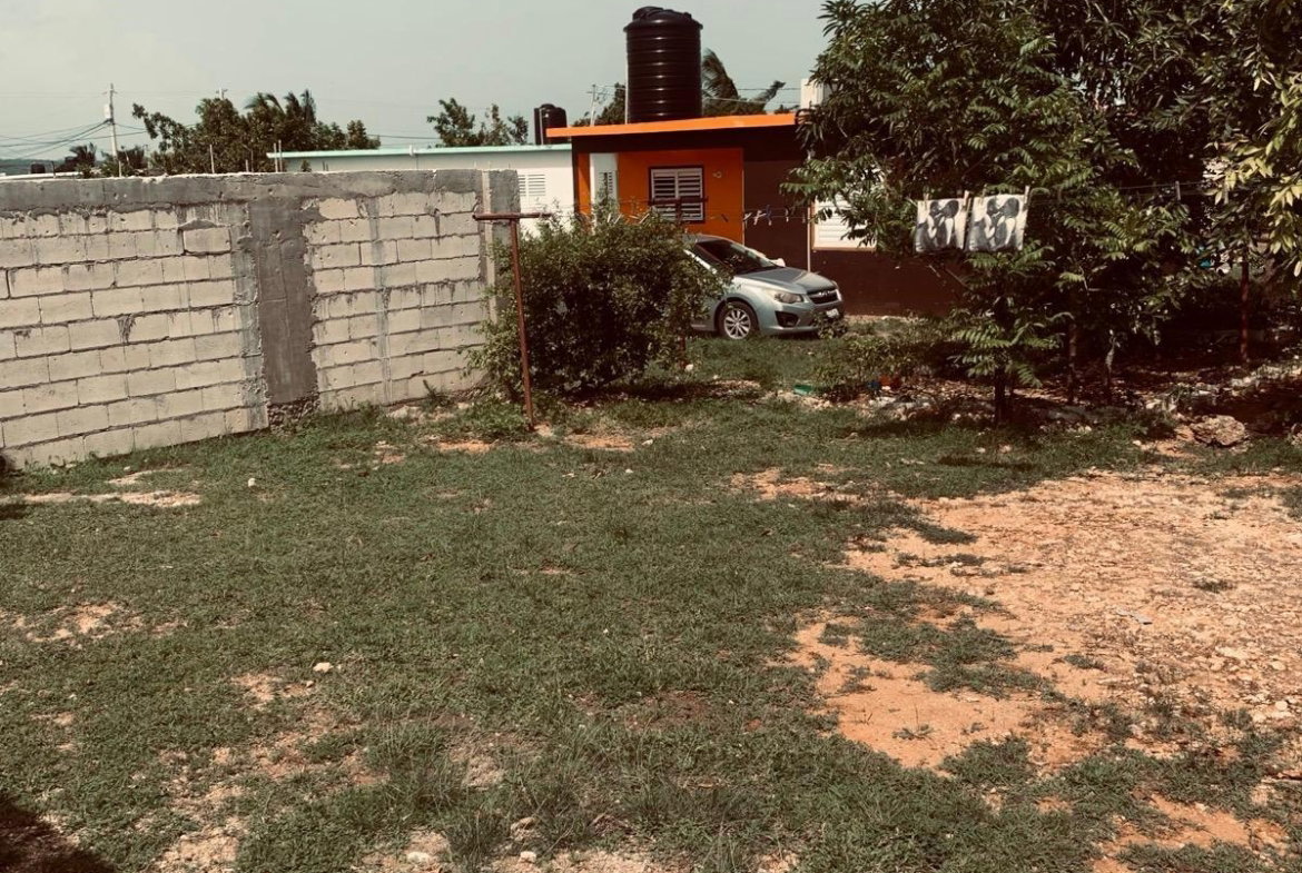 Ninth image of 397 Papaya Avenue, Longville in Longville Park, Clarendon, Jamaica - property is For Sale