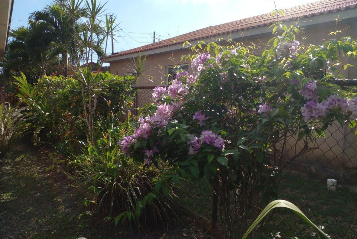 Eighth image of 164 Bellissimo Drive in Angels, St. Catherine, Jamaica - property is For Sale