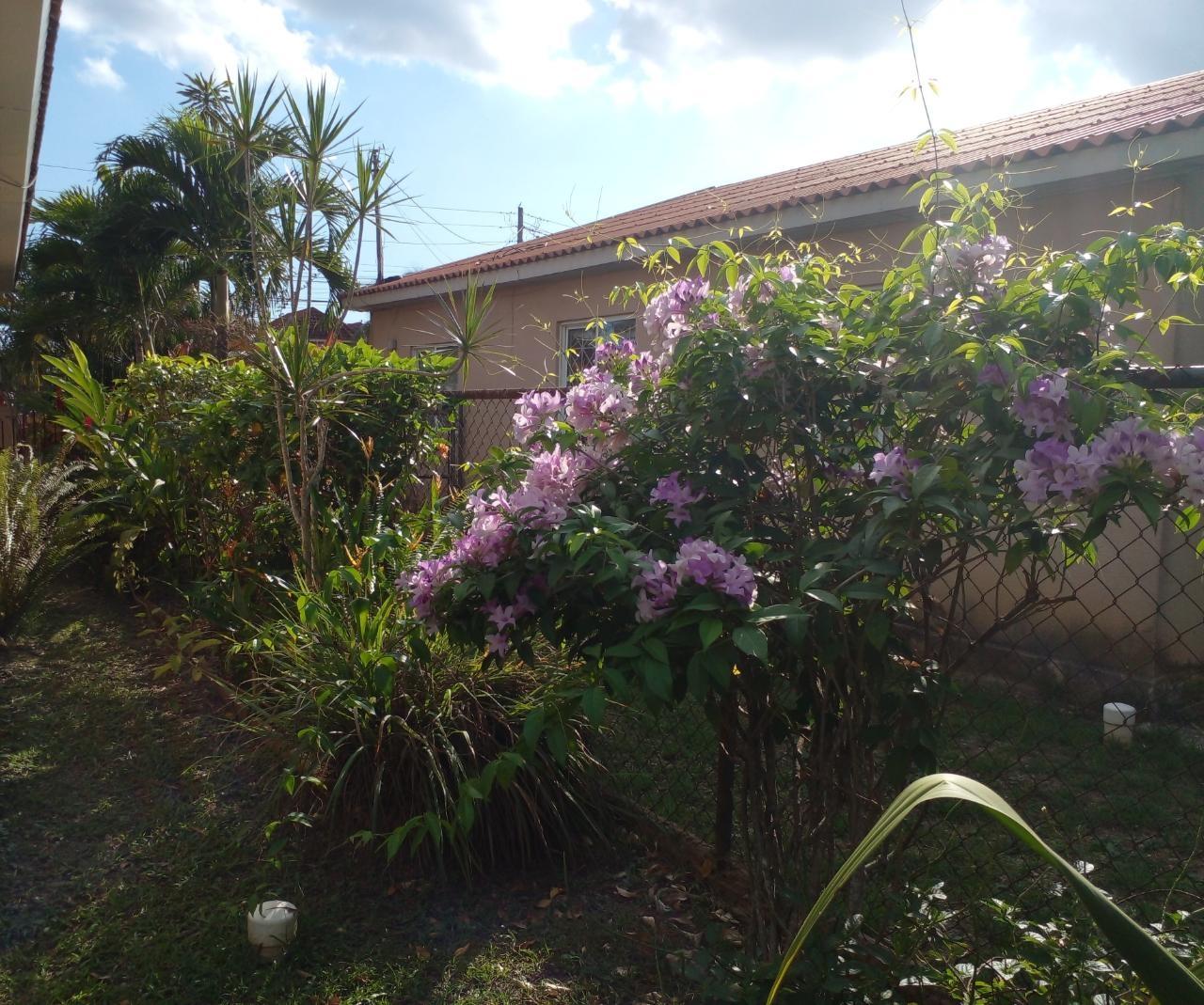 Eighth image of 164 Bellissimo Drive in Angels, St. Catherine, Jamaica - property is For Sale